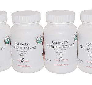 Cordyceps Mushroom Extract - 6 Month Supply