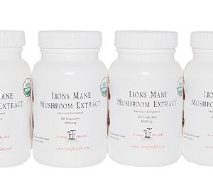 Lions Mane Extract - 6 Month Supply